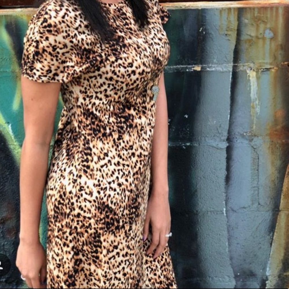 LuLaRoe Leopard Print Maria Dress